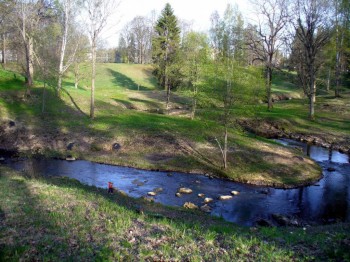 Ломоносовский "дикий" парк, Ораниенбаум.
