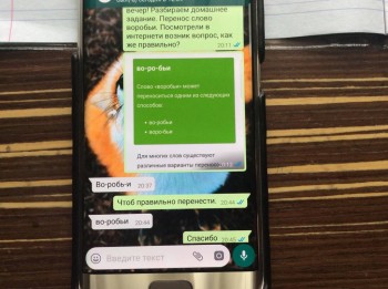 Короткий ответ учителя в WhatsApp