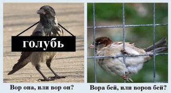 Этимология слов «ворон», «воробей». - vrn.jpg