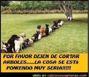 Любимые стихи. Иллюстрируем - image.jpg