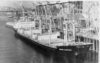 А вот он каков - тот самый зерновой терминал в порту Портленд,<br />          и т/х «Юрий Савинов» у его причала.<br />          В данный момент погрузка фактически завершена.<br />          Ишь, как крепенько пароход прямо прилип к воде. Причал аж нависает<br />          над ним. А ведь когда только-только «привязались» к нему, парадный <br />          трап пришлось круто приспускать к настилу причала, чуть ли не<br />          вертикально. Во, как солидно пригрузились!