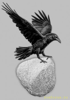 Этимология слов «ворон», «воробей». - voron.jpg