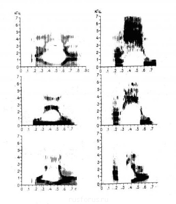 Звуки, обозначаемые буквами Я, Ю, Ё - Рис2.JPG