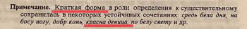 О прилагательных кратких и усечённых - 73966EDE-924F-44B8-98FD-EB8009915F70.jpeg