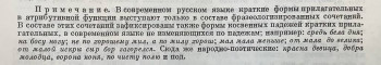 О прилагательных кратких и усечённых - 14828764-0C0B-46BC-9AB3-9429F355A20E.jpeg