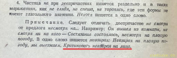Невзирая на лица или НЕ взирая на лица? - 92E7BC75-6D9F-4509-AB85-8EC9EF3C28EC.jpeg
