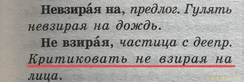 Невзирая на лица или НЕ взирая на лица? - 87E0CEB2-AAD6-4A8F-8D5C-876878D74B10.jpeg