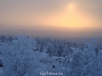 Шведская Лапландия, январь 2012.