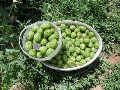 Петербургский Арбат? - SAM_0198.JPG