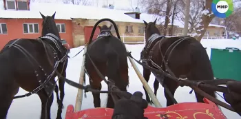 Разом одну за другой...? - Безымянный.webp