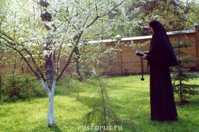 Любимые стихи. Иллюстрируем - монастырский сад.jpg