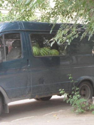 Любимые стихи. Иллюстрируем - SAM_0041a.JPG