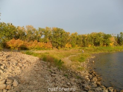 Меня мысль сегодня посетила - SAM_0165.JPG