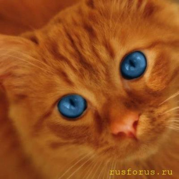 Стилистика начинается со стиля  - m_aGi1LRt8O1BFWVfixXMT-RxmzvkKwpubZtPQ0pc6ihcujVrVaCceyjg0Y4wo9zP7i5v2FH.jpg