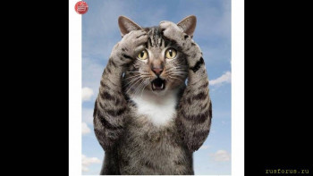 Стилистика начинается со стиля  - maxresdefault.jpg