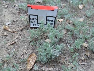 Меня мысль сегодня посетила - SAM_0147.JPG