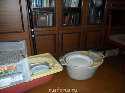 Меня мысль сегодня посетила - SAM_0175.JPG