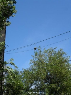 Меня мысль сегодня посетила - SAM_0063.aJPG.jpg