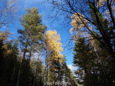 Любимые стихи. Иллюстрируем - -qTFarQEKsE.jpg