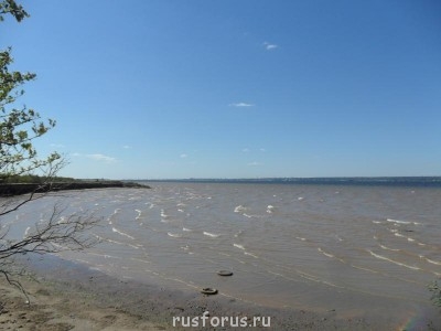 Любимые стихи. Иллюстрируем - SAM_0137.JPG