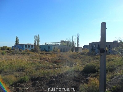 Любимые стихи. Иллюстрируем - SAM_0233.JPG