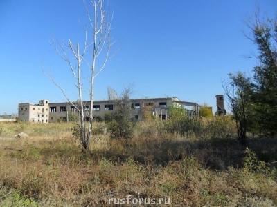 Любимые стихи. Иллюстрируем - SAM_0231.JPG