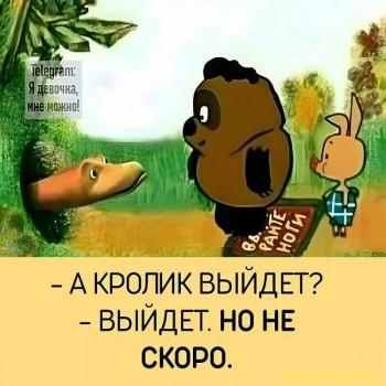 Забавные картинки - image.jpg