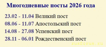 Ковчег.  - Снимок экрана_14-1-2026_18226_qhho.ru.jpeg