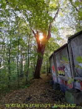 Русская кухня - ggfgfhfgh.jpg