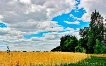 Графика и энерргетика звука русской буквы современного русского Алфавита - image.jpg