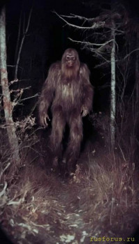 Происхождение разума и языка - image.jpg