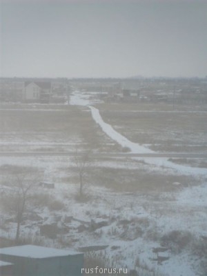 С Новым годом  - SAM_0341a.JPG