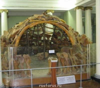 Как появился славянский язык и от какого языка пошел - 132592254613237-med.jpg