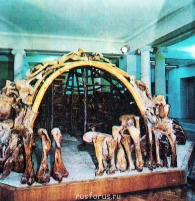 Как появился славянский язык и от какого языка пошел - 05.jpg